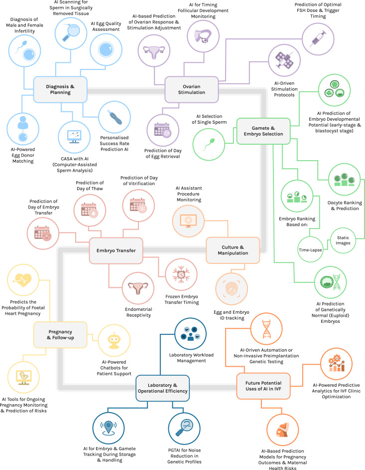 Application of Artificial Intelligence in Assisted Reproduction: Between Ideal and Reality